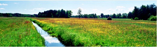 Raf-Ekologia - Spalarnia Odpadów Przemysłowych i Medycznych