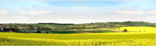 Raf-Ekologia - Spalarnia Odpadów Przemysłowych i Medycznych